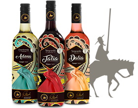 The Daughters of Don Quixote